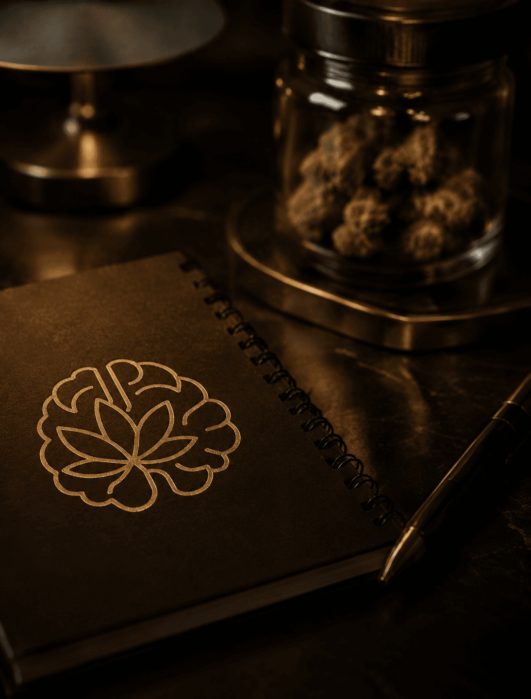 Libreta Amnesia y selección premium — acompañamiento REPROCANN